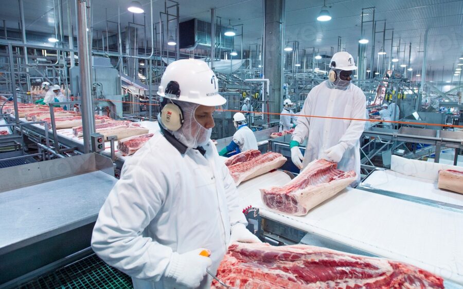 Werknemers in beschermende kleding en met messen aan een lopende band in een vleesverwerkingsfabriek
