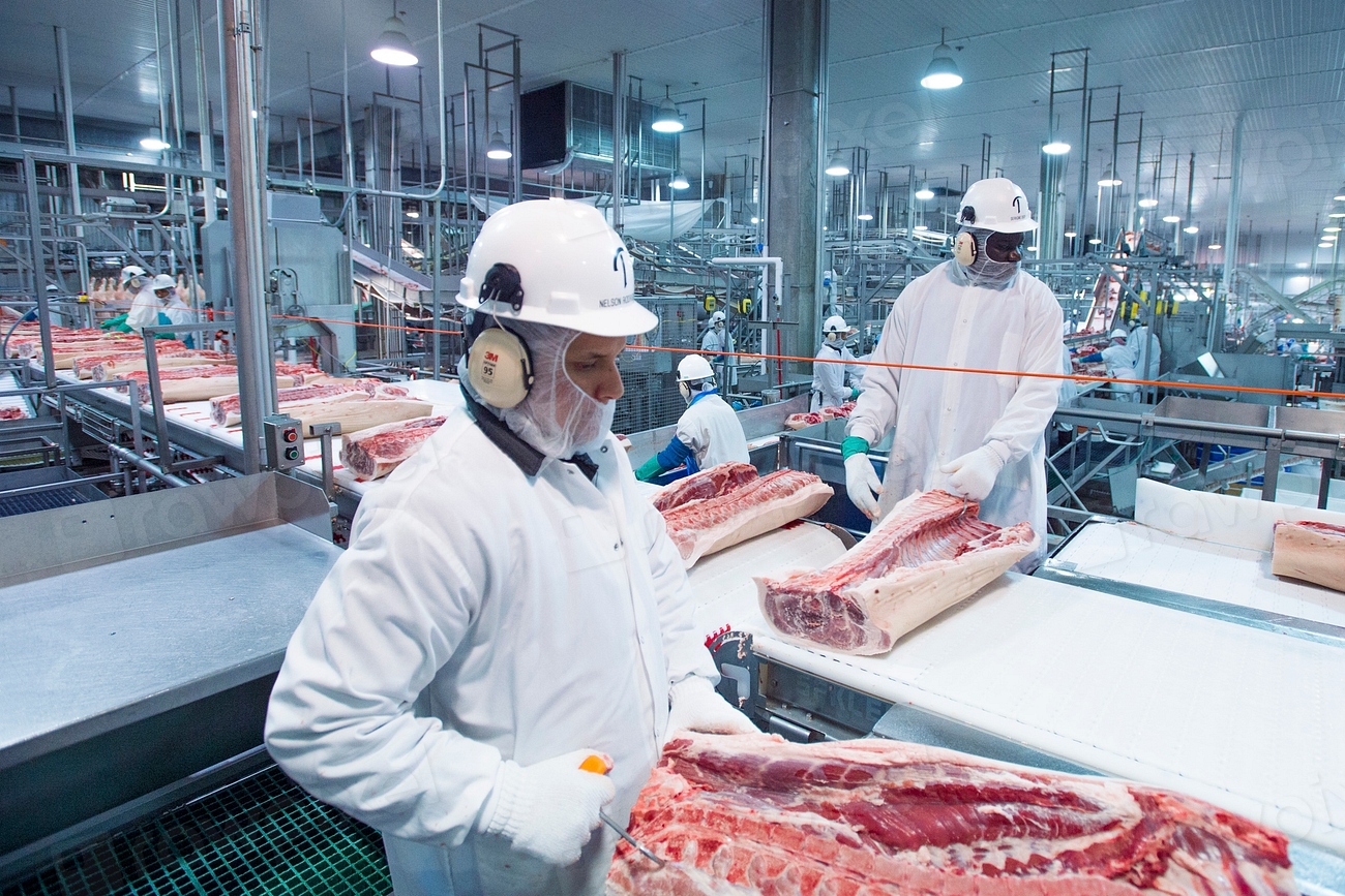Werknemers in beschermende kleding en met messen aan een lopende band in een vleesverwerkingsfabriek